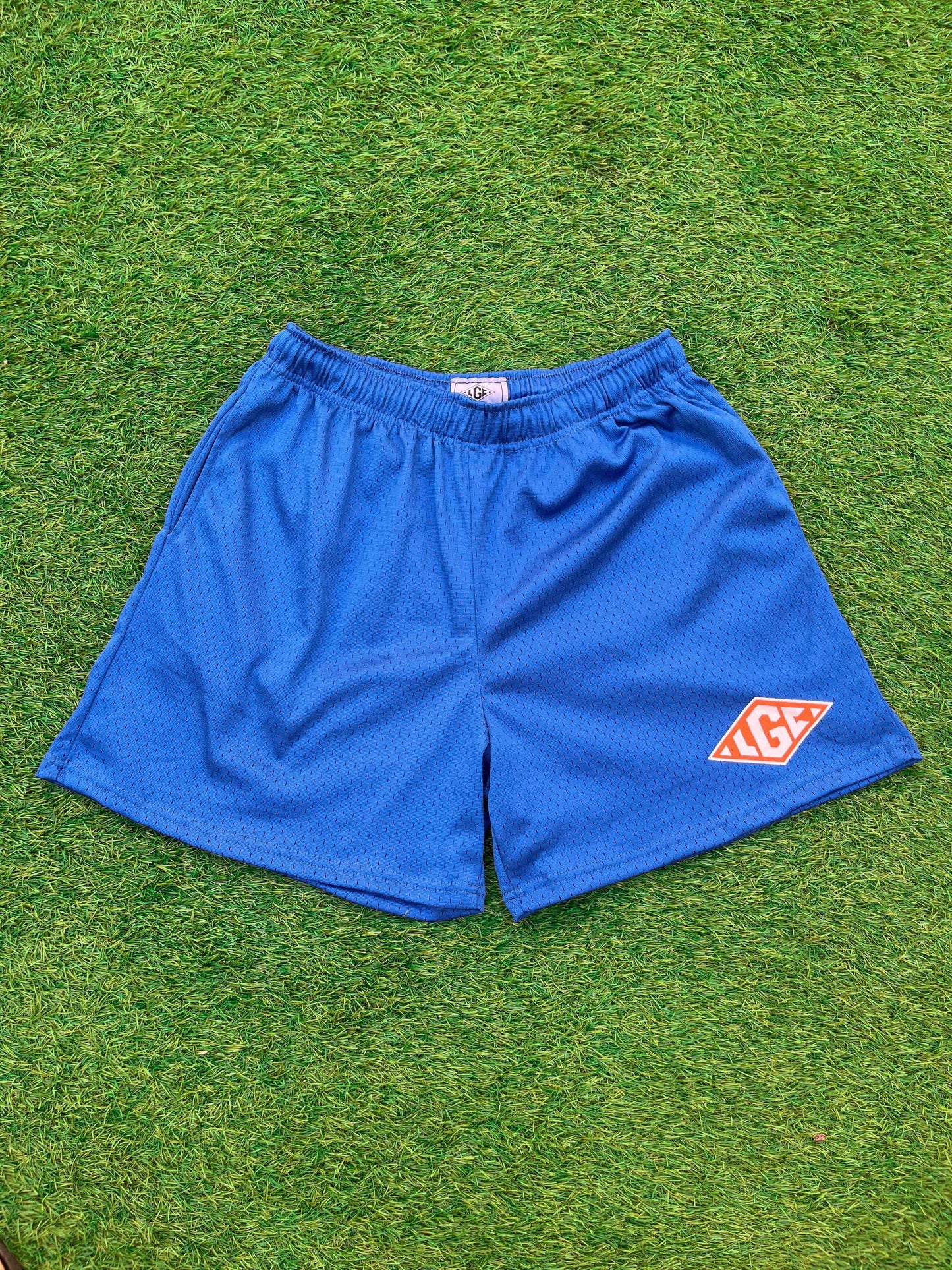 Signature Mesh Shorts (Blue)