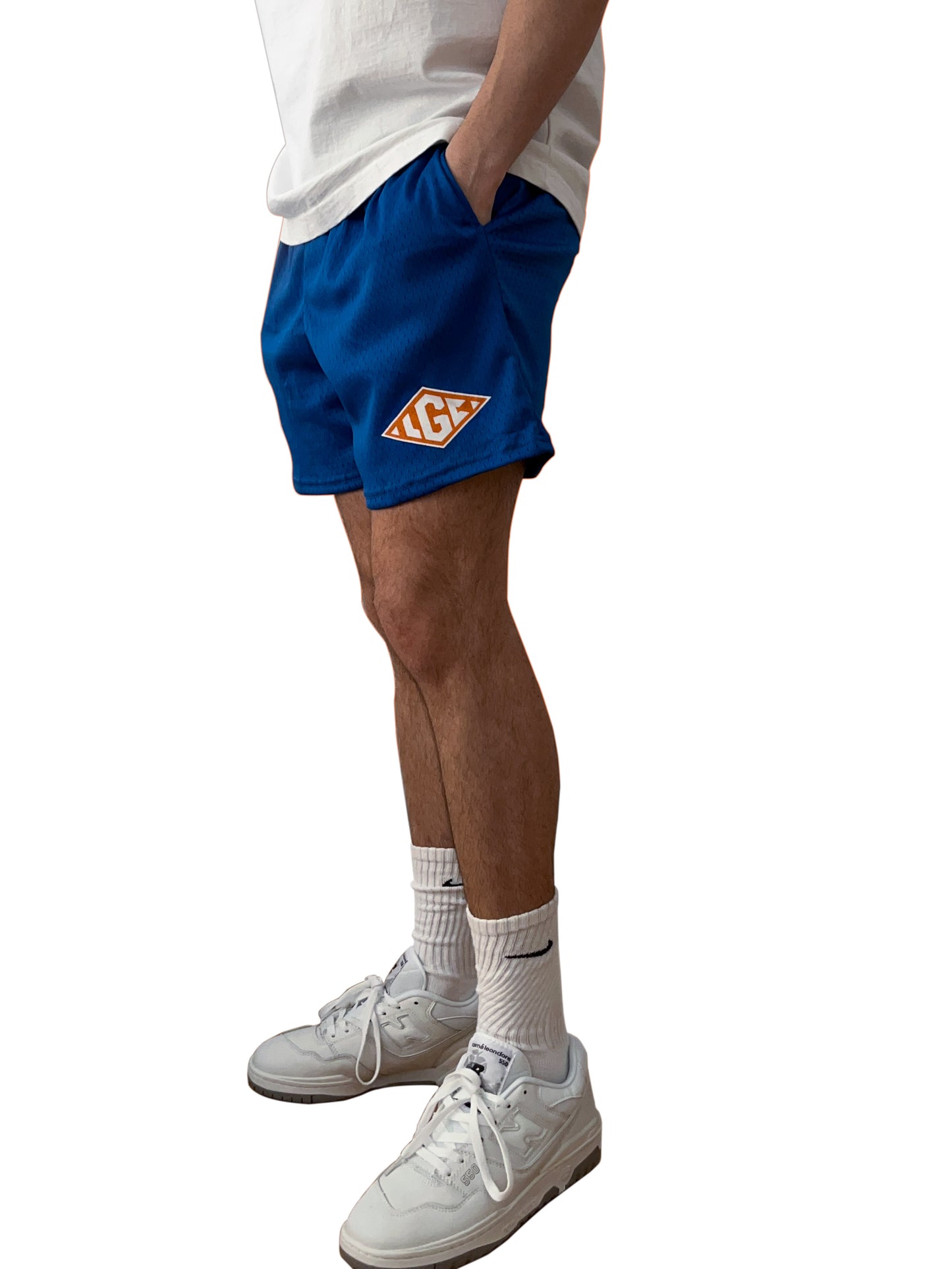 Signature Mesh Shorts (Blue)