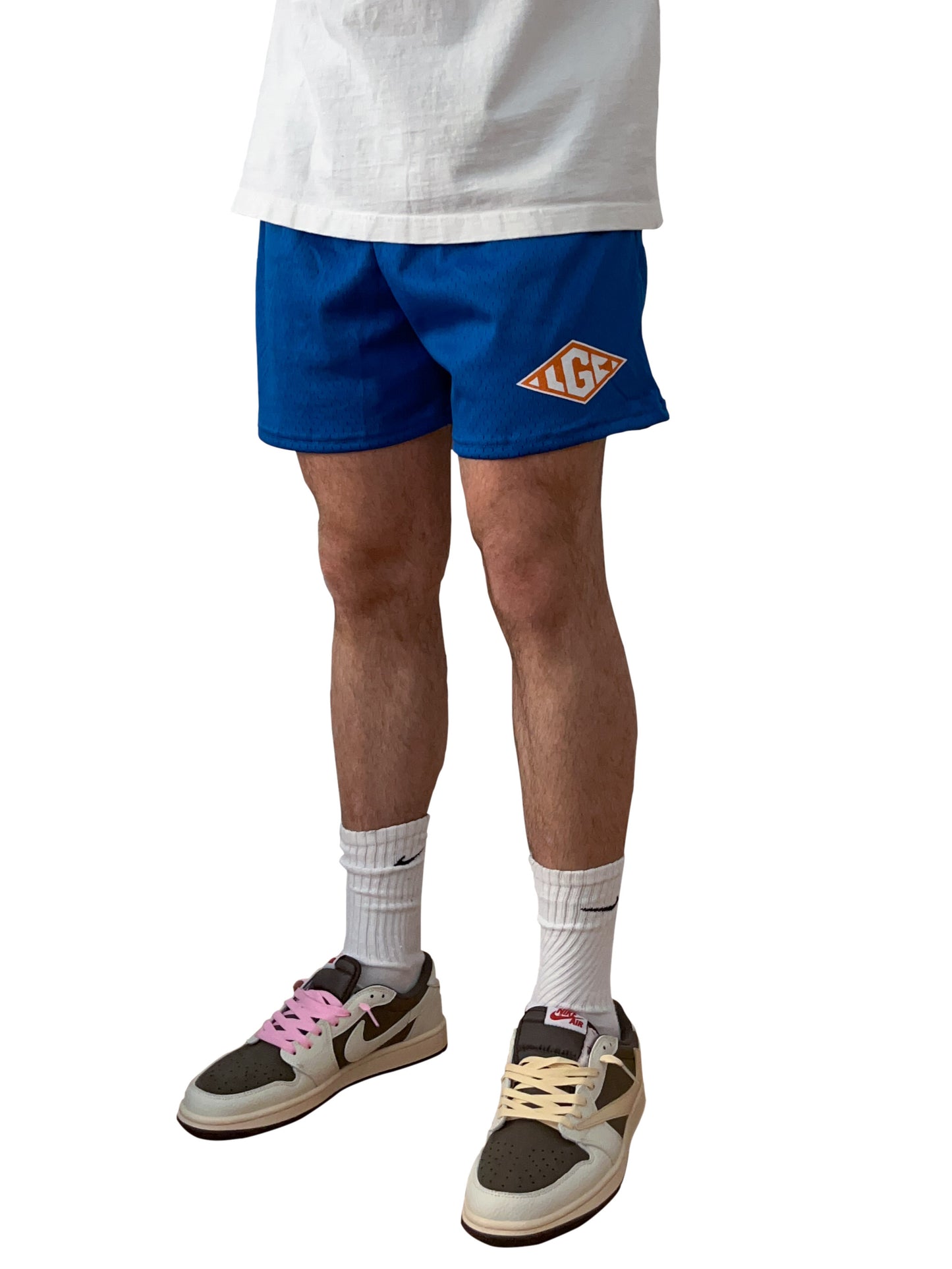 Signature Mesh Shorts (Blue)